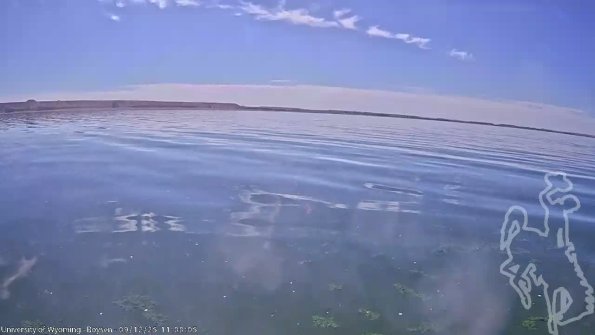 BoysenSep122025_13hh08mm01ss