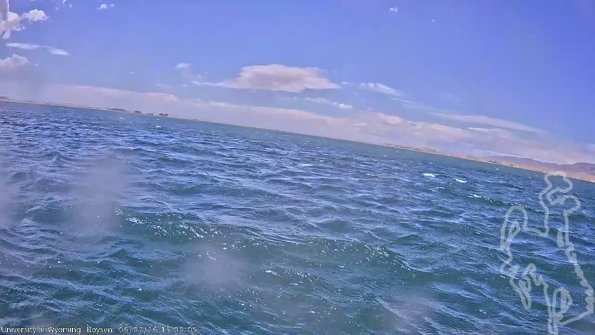 BoysenJun072026_15hh08mm00ss