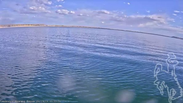 BoysenMay292026_21hh08mm00ss