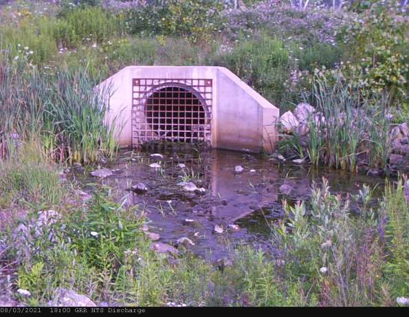 GRRNTS_DischargeAug042021_ 4hh13mm00ss