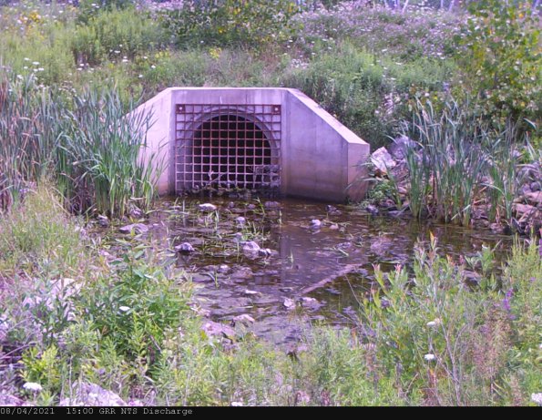 GRRNTS_DischargeAug042021_16hh13mm01ss