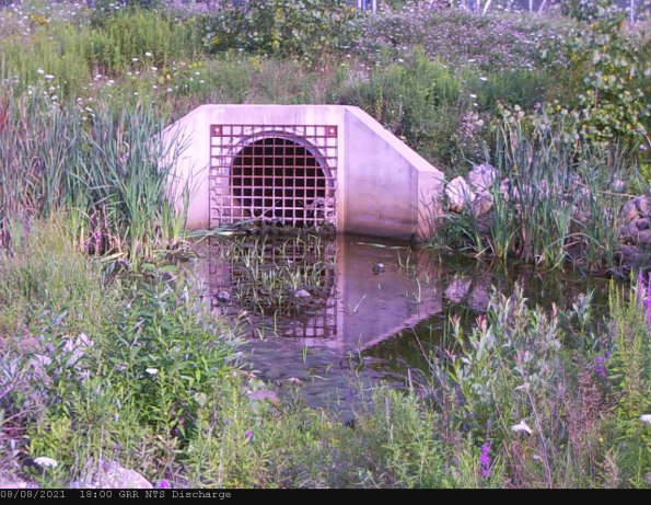 GRRNTS_DischargeAug082021_18hh13mm01ss