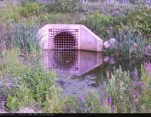 GRRNTS_DischargeAug132021_ 1hh13mm01ss