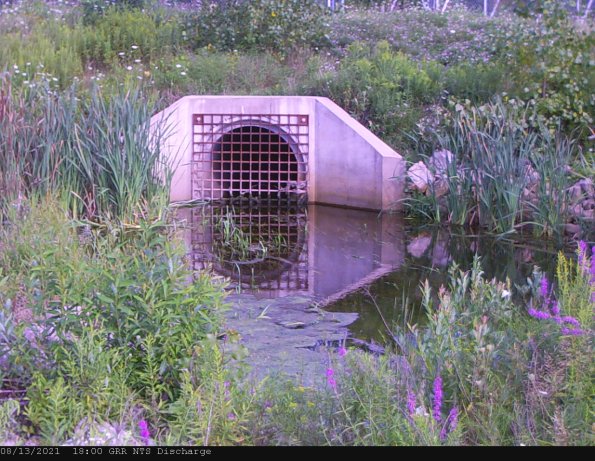 GRRNTS_DischargeAug142021_ 1hh13mm01ss