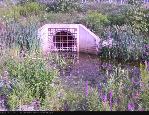 GRRNTS_DischargeAug182021_ 3hh13mm00ss