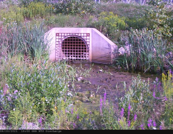 GRRNTS_DischargeAug212021_ 1hh13mm00ss