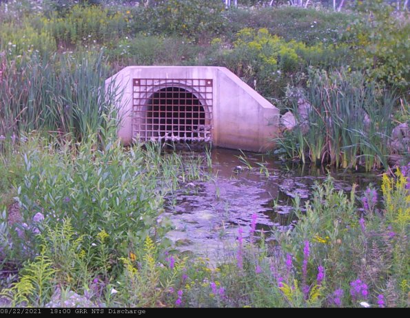 GRRNTS_DischargeAug222021_19hh13mm01ss