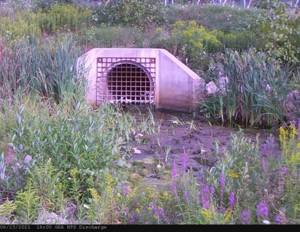 GRRNTS_DischargeAug242021_ 1hh13mm00ss