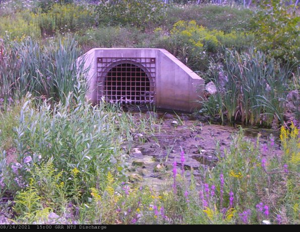 GRRNTS_DischargeAug242021_17hh13mm01ss