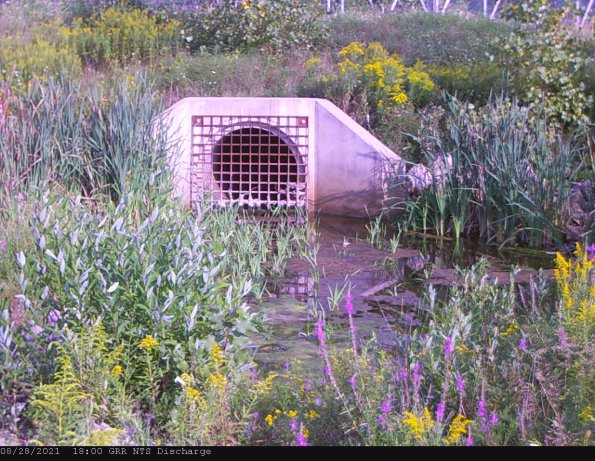 GRRNTS_DischargeAug282021_19hh13mm01ss