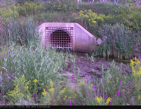 GRRNTS_DischargeAug312021_ 0hh13mm01ss