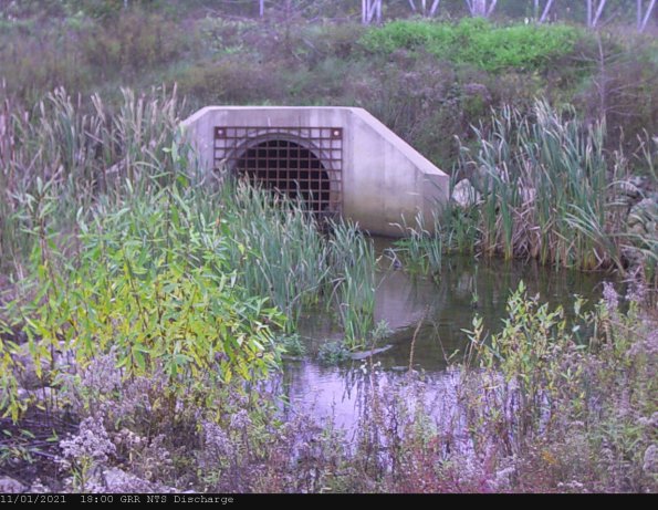 GRRNTS_DischargeNov022021_ 3hh13mm01ss