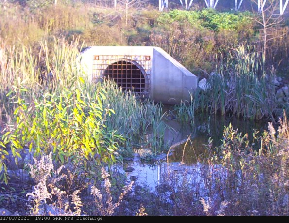 GRRNTS_DischargeNov042021_ 2hh13mm00ss