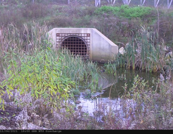 GRRNTS_DischargeNov052021_ 5hh13mm00ss