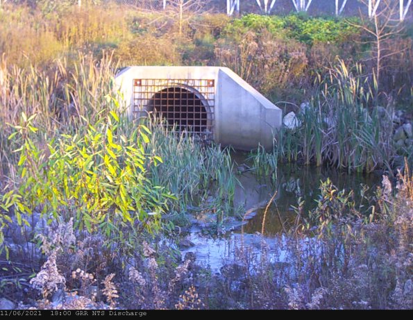 GRRNTS_DischargeNov072021_ 0hh13mm01ss