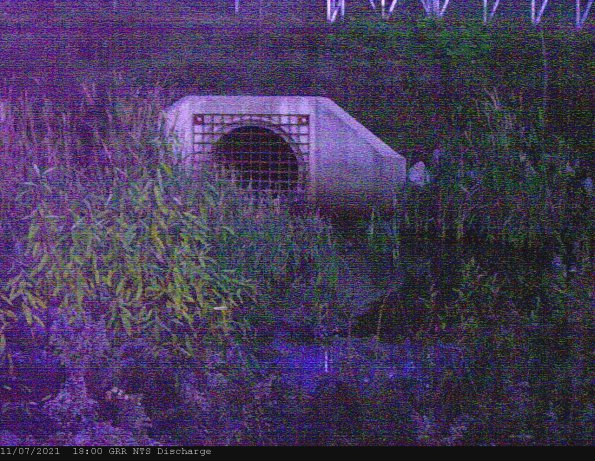 GRRNTS_DischargeNov082021_ 2hh13mm01ss