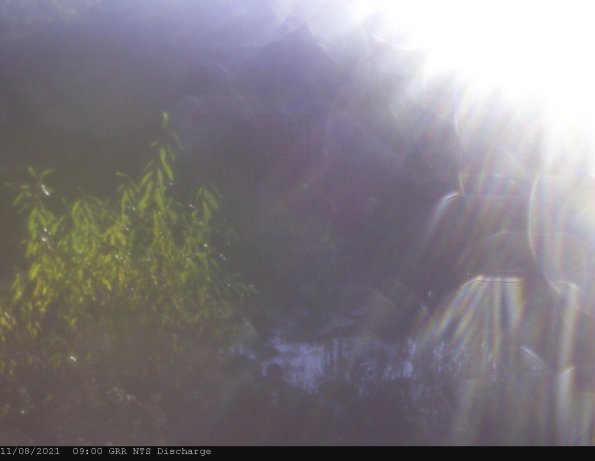 GRRNTS_DischargeNov082021_ 9hh13mm01ss