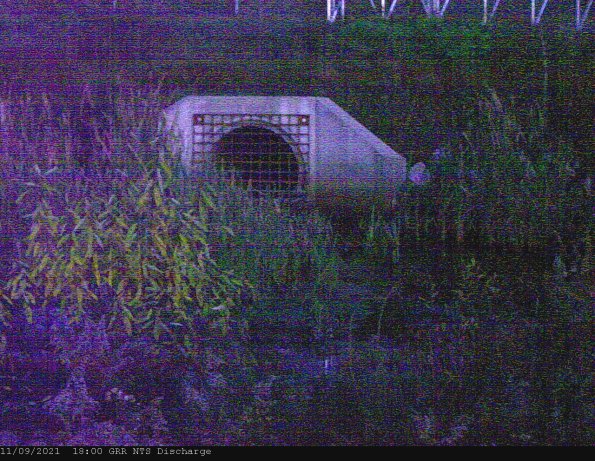 GRRNTS_DischargeNov102021_ 4hh13mm01ss