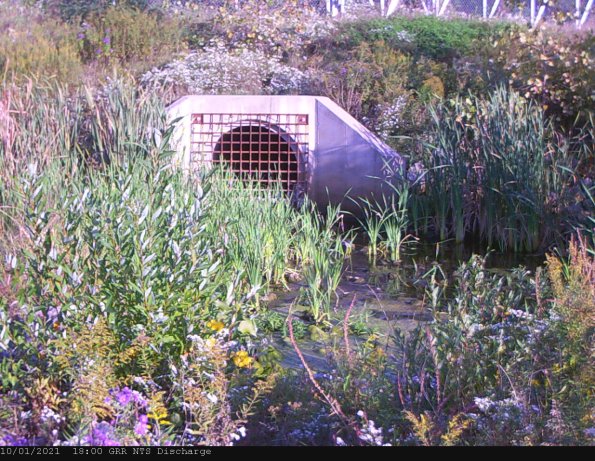 GRRNTS_DischargeOct022021_ 0hh13mm01ss