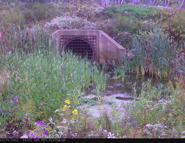 GRRNTS_DischargeOct032021_ 3hh13mm00ss