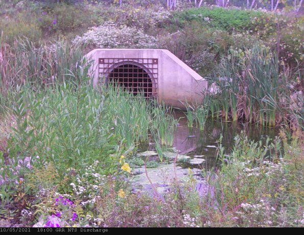 GRRNTS_DischargeOct052021_20hh13mm00ss