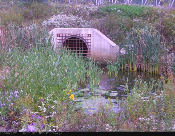 GRRNTS_DischargeOct072021_ 4hh13mm00ss