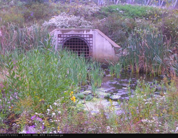 GRRNTS_DischargeOct072021_17hh13mm00ss