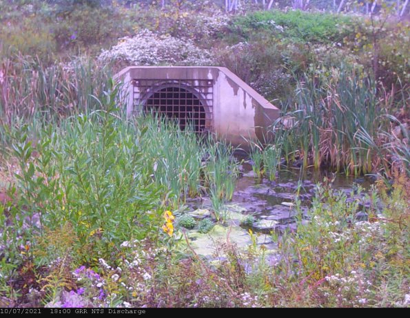 GRRNTS_DischargeOct072021_18hh13mm01ss