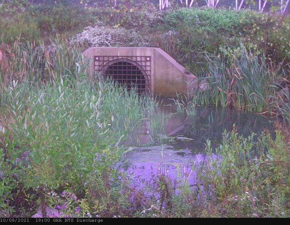 GRRNTS_DischargeOct092021_ 4hh13mm01ss