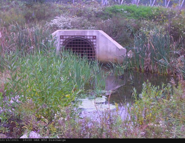 GRRNTS_DischargeOct112021_ 5hh13mm00ss