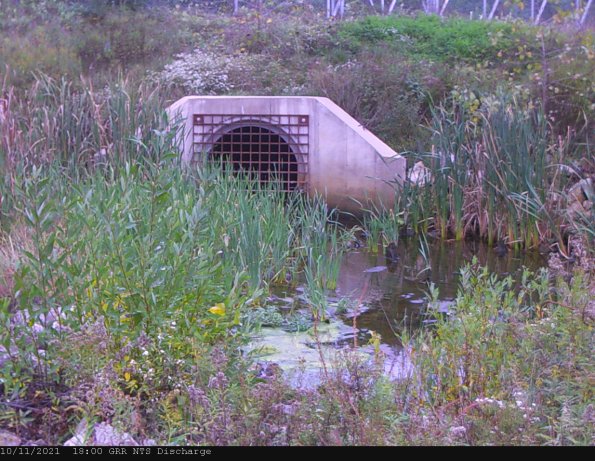 GRRNTS_DischargeOct122021_ 1hh13mm00ss