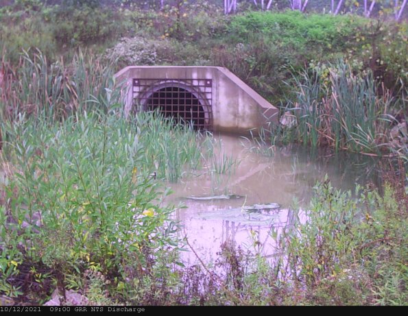 GRRNTS_DischargeOct122021_11hh13mm01ss