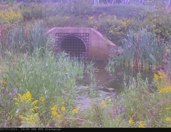 GRRNTS_DischargeSep082021_ 1hh13mm00ss