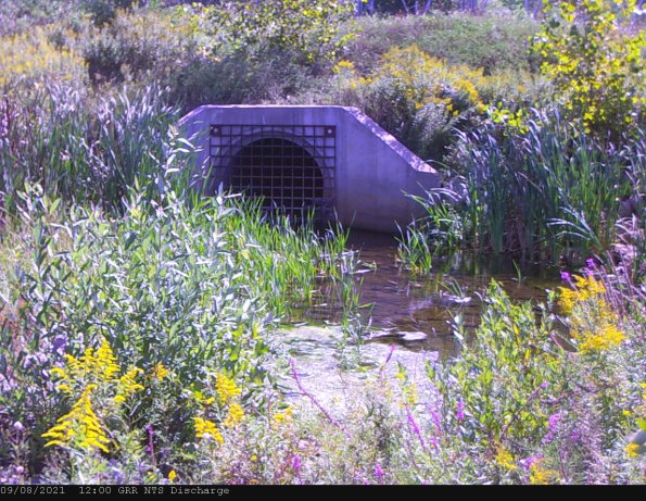 GRRNTS_DischargeSep082021_12hh13mm01ss