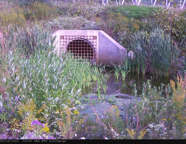 GRRNTS_DischargeSep272021_ 1hh13mm00ss