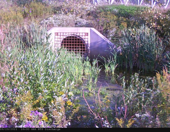 GRRNTS_DischargeSep302021_ 2hh13mm01ss