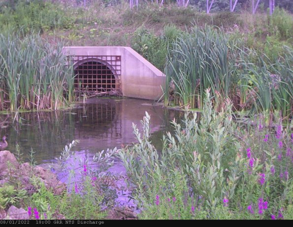 GRRNTS_DischargeAug022022_ 3hh13mm00ss