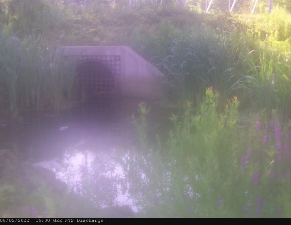 GRRNTS_DischargeAug022022_ 9hh13mm00ss