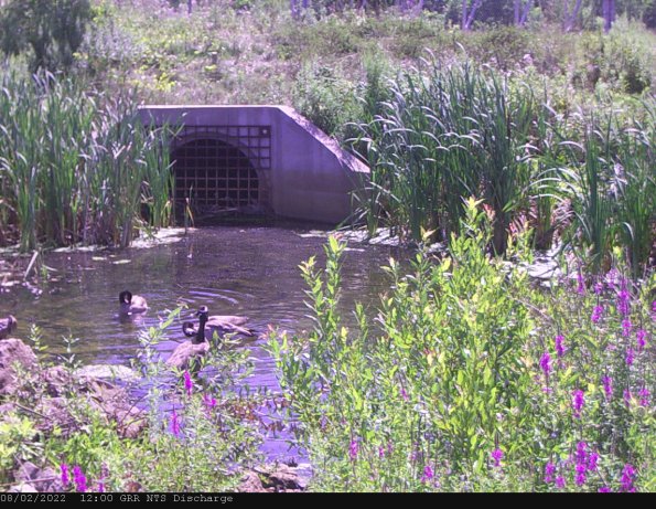 GRRNTS_DischargeAug022022_12hh13mm00ss