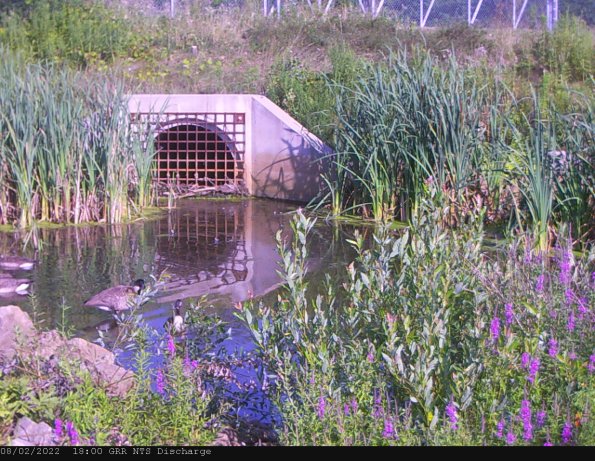 GRRNTS_DischargeAug032022_ 3hh13mm00ss