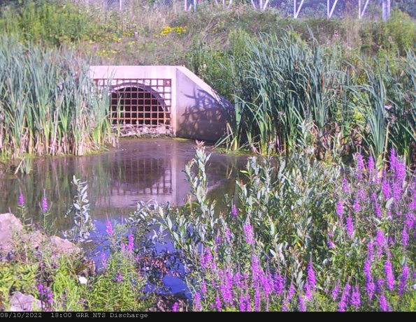 GRRNTS_DischargeAug112022_ 3hh13mm00ss