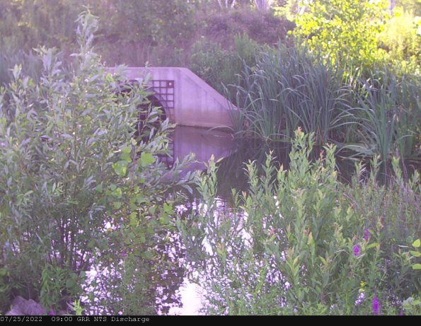 GRRNTS_DischargeJul252022_ 9hh13mm01ss