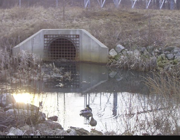 GRRNTS_DischargeMar182022_ 9hh13mm00ss