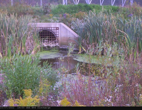 GRRNTS_DischargeOct082022_ 3hh13mm01ss