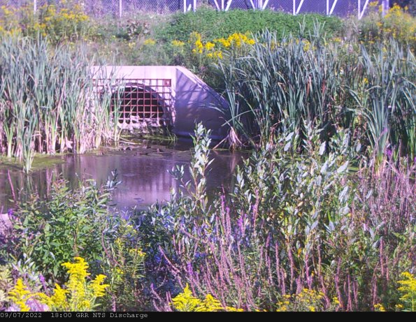 GRRNTS_DischargeSep082022_ 3hh13mm00ss