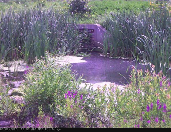 GRRNTS_DischargeAug022023_12hh13mm01ss