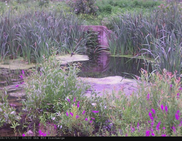 GRRNTS_DischargeAug072023_ 9hh13mm00ss