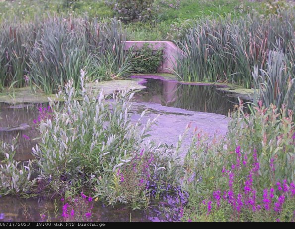 GRRNTS_DischargeAug172023_18hh13mm01ss