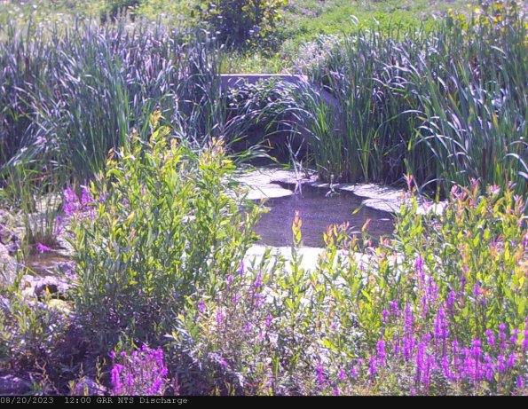 GRRNTS_DischargeAug202023_12hh13mm02ss