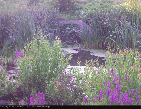 GRRNTS_DischargeAug212023_ 9hh13mm01ss